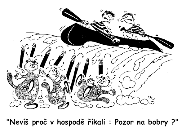 Nevíš proč v hospodě říkali: Pozor na bobry?