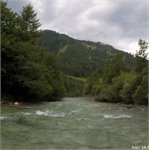 Steyr