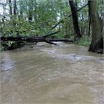 Hostačovka pod Hostačovským rybníkem