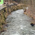 Jeřice