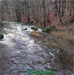 Nad jezem Svárov