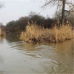 Soutok Štítarského potoka (vpravo) a Mrliny (km 15,1)