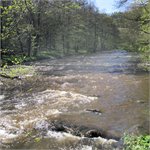 Peřeje pod Pavlovicemi