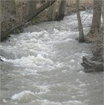 meandry a peřejky za Hamry za stavu 40 cm