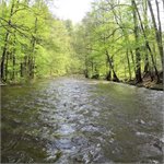 Pod Slatinou, vodočet Slatina, stav: 67 cm, 13.8 m3/s