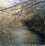 Vrbičkový tunel pod Louňovicemi