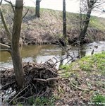 Pod Dobřichovem