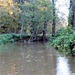 Pod Plaňany