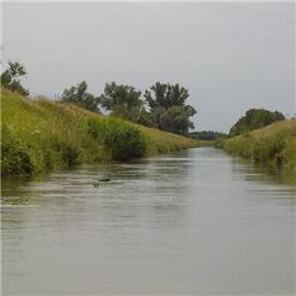 Středočeské bahňáky - Mrlina, Štítarský potok a Blatnice