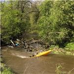 Drama pod stromem na Divoké Orlici