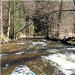 Divoká Orlice pod Bartošovicemi