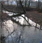 dřevo v řece, znečištění