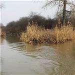 Soutok Štítarského potoka (vpravo) a Mrliny