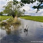 Horní úsek Staré Sedlo