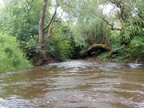 Mezi Bavorovem a Sviněticemi Mezi Bavorovem a Sviněticemi