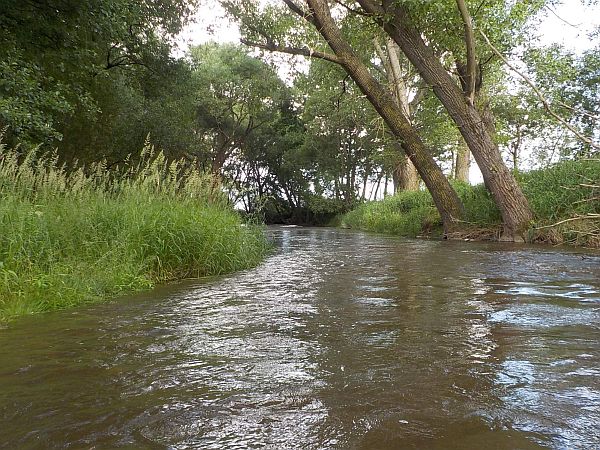 U Krašlovic