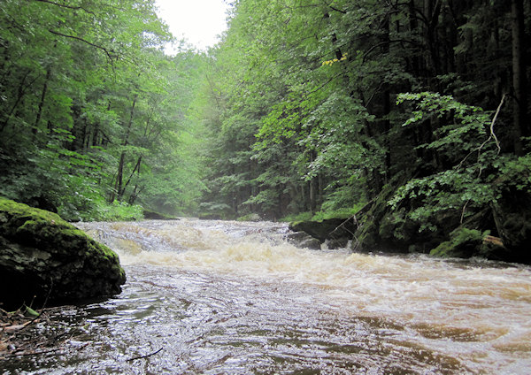 Kamenice Kamenice