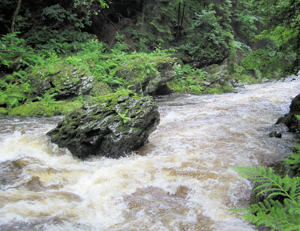 Kamenice Kamenice