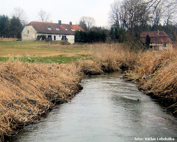 Chotovinský potok nad Stříbrnými Hutěmi Chotovinský potok nad Stříbrnými Hutěmi