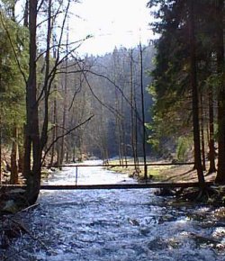Olesenka