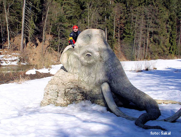 Mamut u Rozštípené skály Mamut u Rozštípené skály