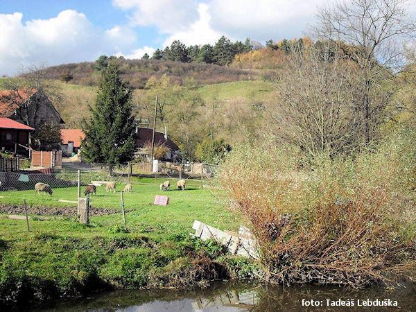 Hradiště Na šancích Hradiště Na šancích