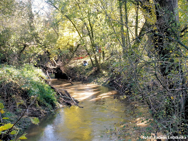 Pod Miškovicemi Pod Miškovicemi