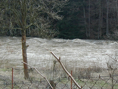Sazava