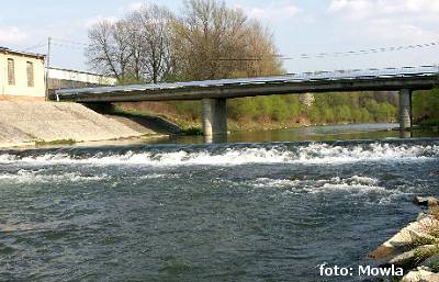 Jez na r.km 59.6 Jez na r.km 59.6