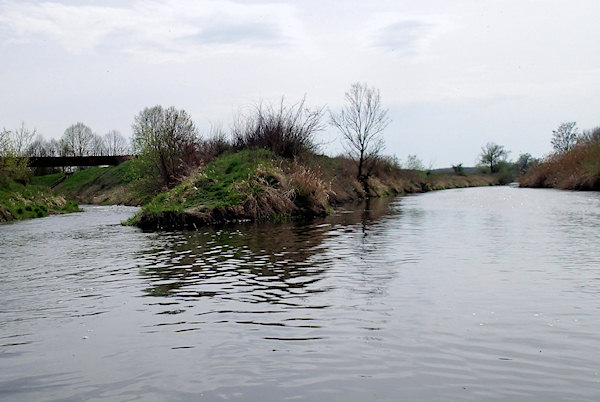 Soutok s řekou Dyje Soutok s řekou Dyje