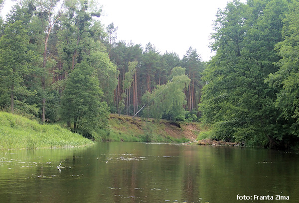 Za Egliszewem Za Egliszewem