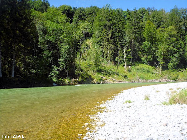 Isar pod Bad Tölz Isar pod Bad Tölz
