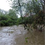 Není zdrobnělina jako zdrobnělina aneb Doubravka