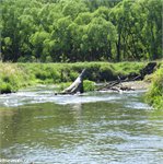 Polská Ruda