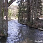 Ostruzna