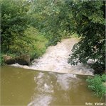 Stupeň