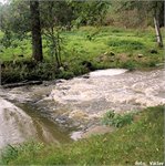 Stupeň