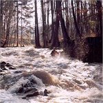 Kaskada