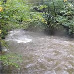 Padlé stromy jsou časté, 15.10.2020, vdčt Otradov 5.7 m3/s, 32 cm