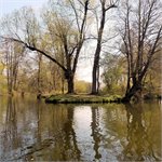 Soutok s Divokou dále Orlice