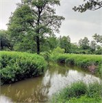 Smutná
