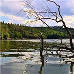 Seakajakem po Dalešické přehradě