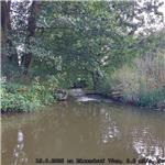 Odbočka pro rybochod nad jezem